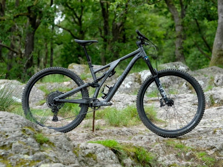 Specialized Stumpjumper EVO Comp Alloy – The DATA