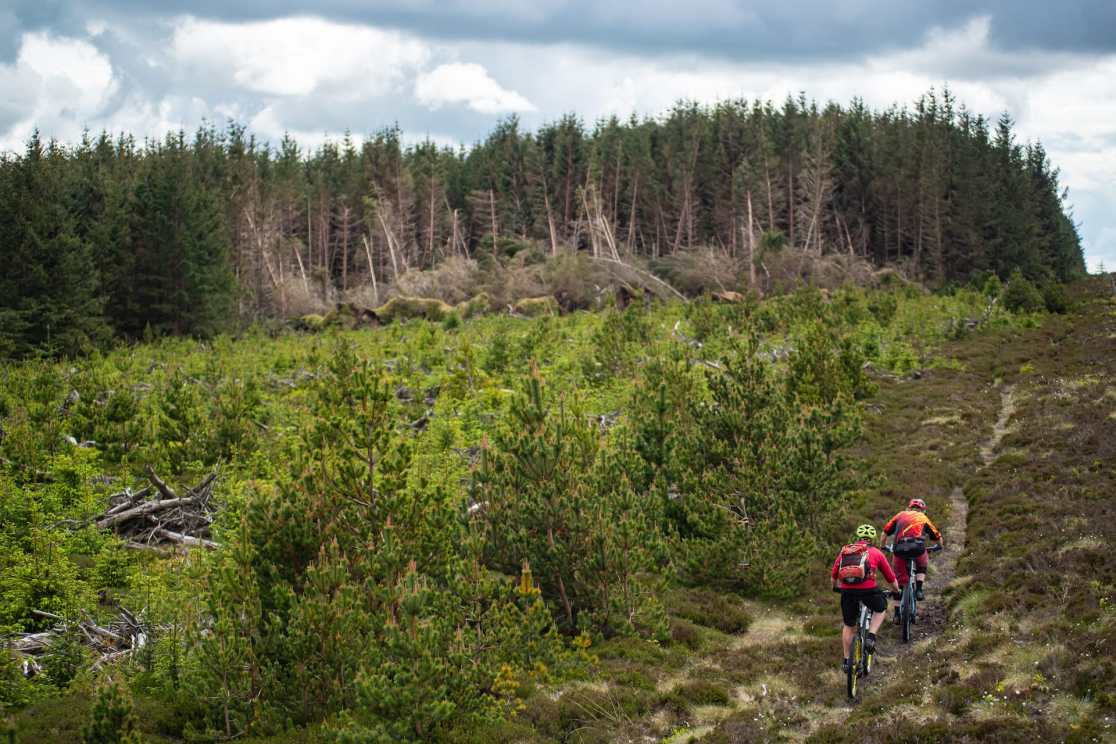 issue 144 duegars pete scullion