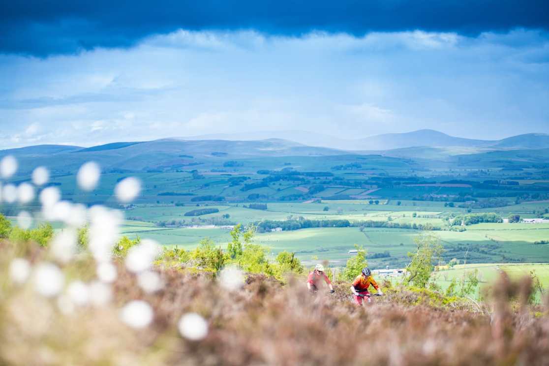 issue 144 duegars pete scullion