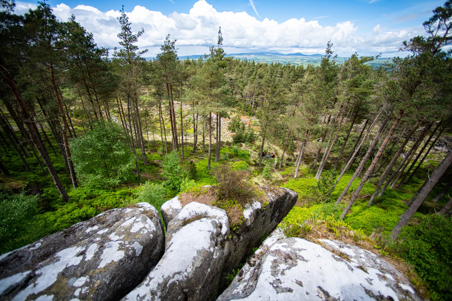 issue 144 duegars pete scullion