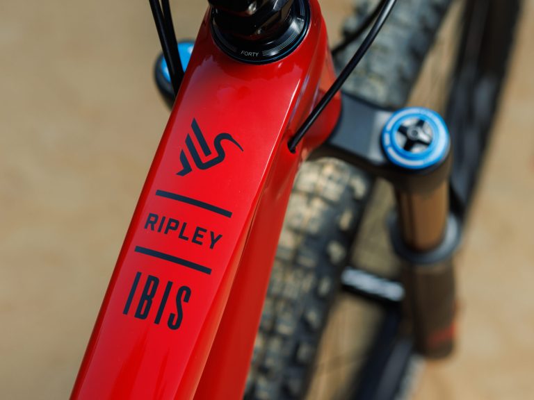 New Look Ibis: Birds Are Real