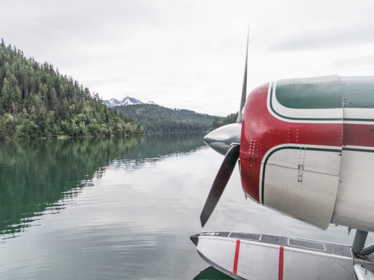 Issue 146: House of Cards