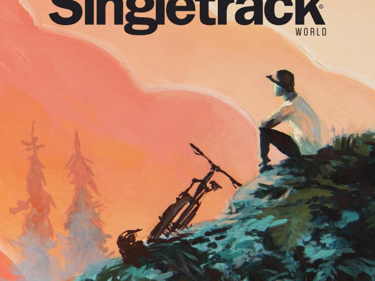 Take The Singletrack World Mega Survey!