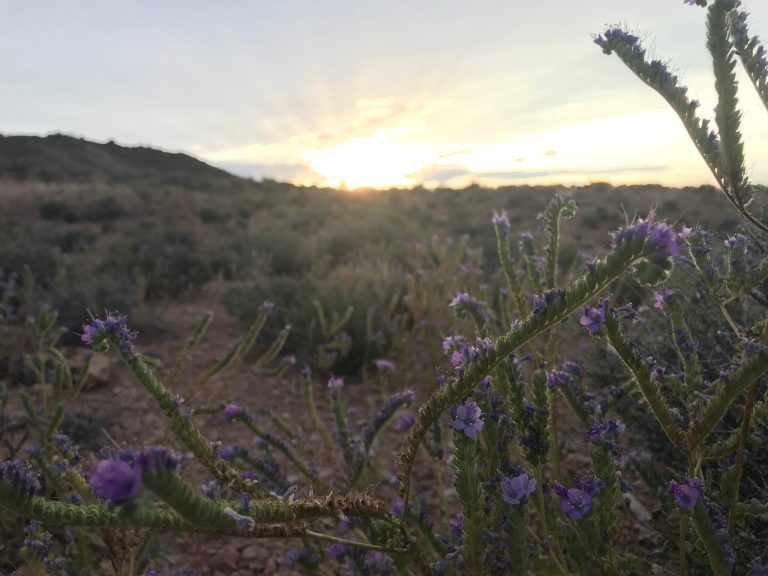 Podcast: Wild Cycling and Middle Aged Rampage