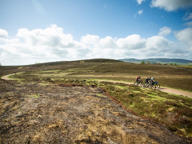 Saturday Sofa Slouch Video Round Up