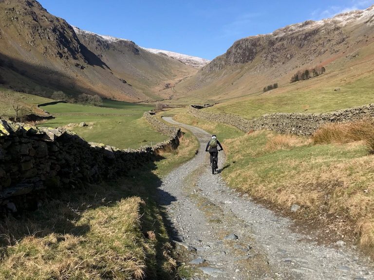 What We’re Looking Forward To In 2023