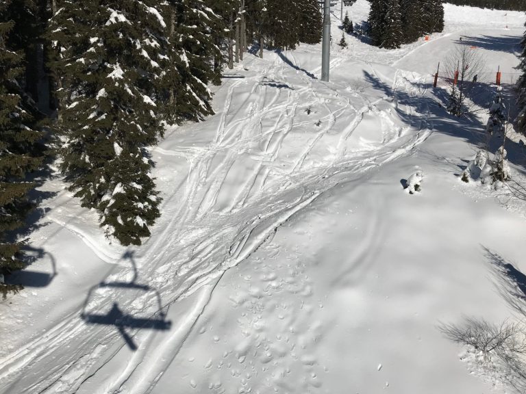 No snow means Les Gets lifts open for mountain bikes… in January!