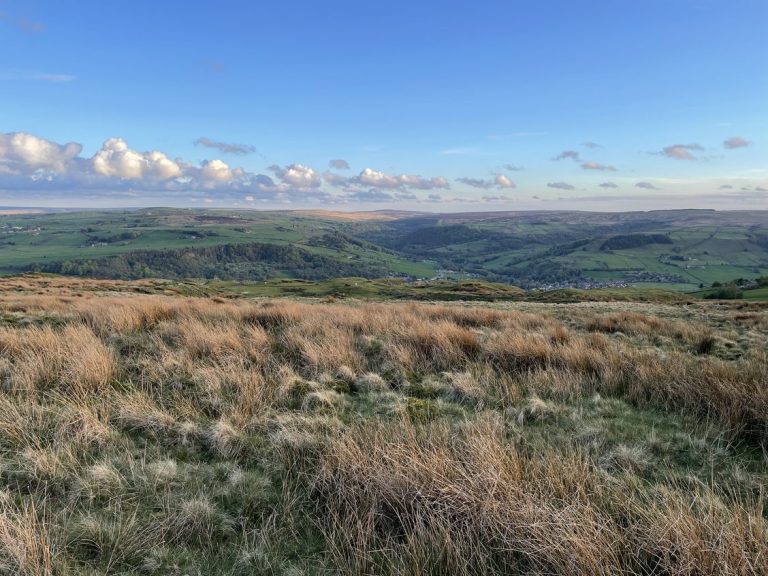 The Answer To Everything Is…