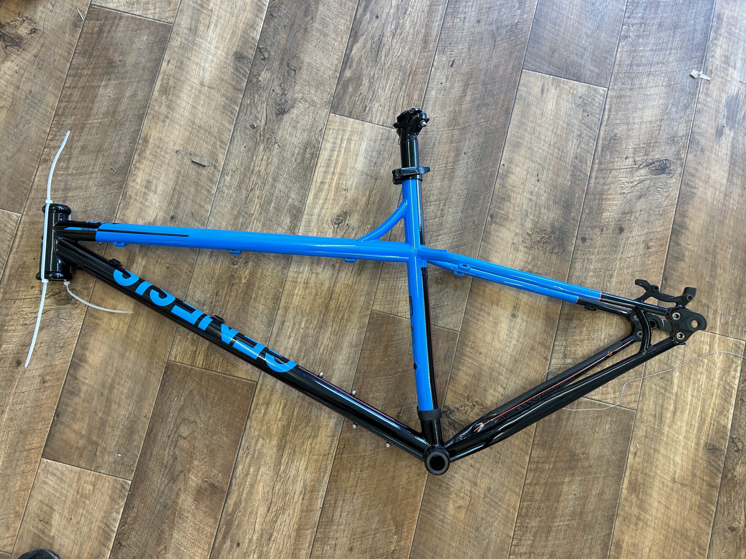 Genesis Tarn Frame size large