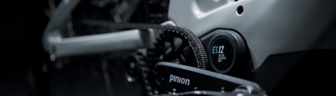 Pinion E-Drive