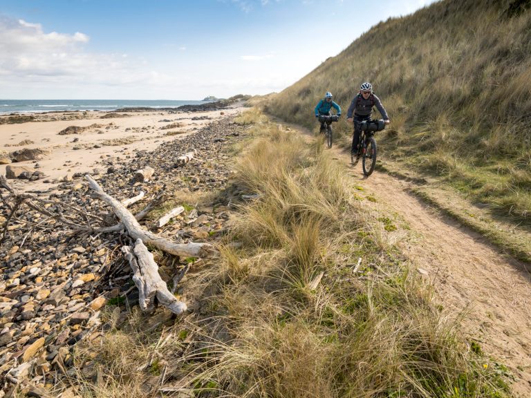 Evolution Stories with Andy McKenna: Building Better Humans