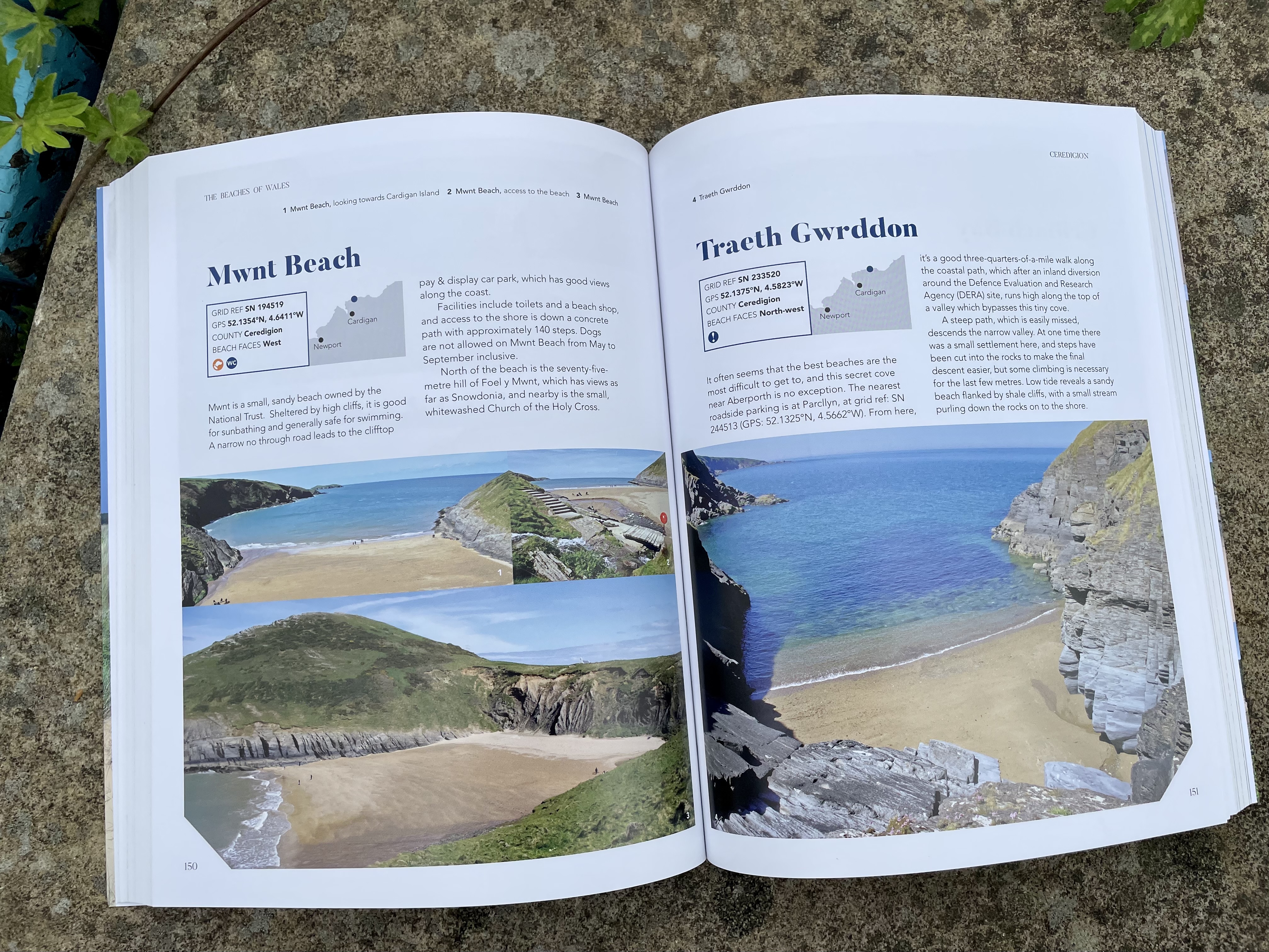 beaches wales book