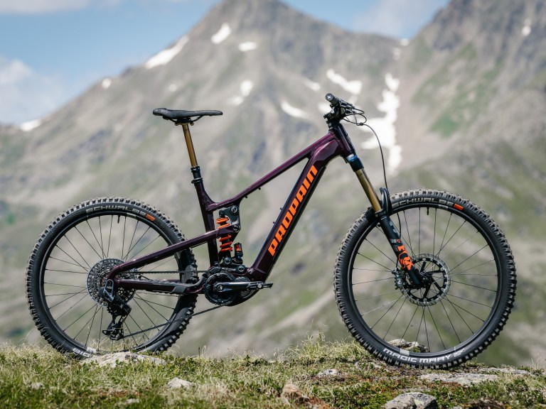 NeBD: Propain Ekano 2 AL