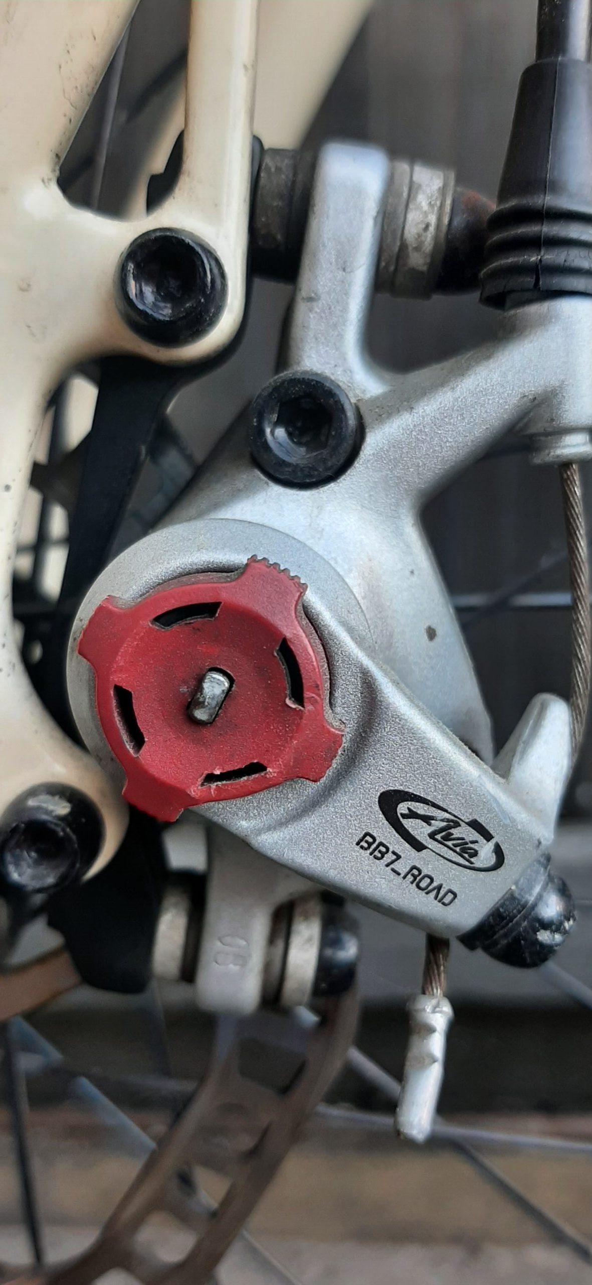 Singular Gryphon in Large, great condition