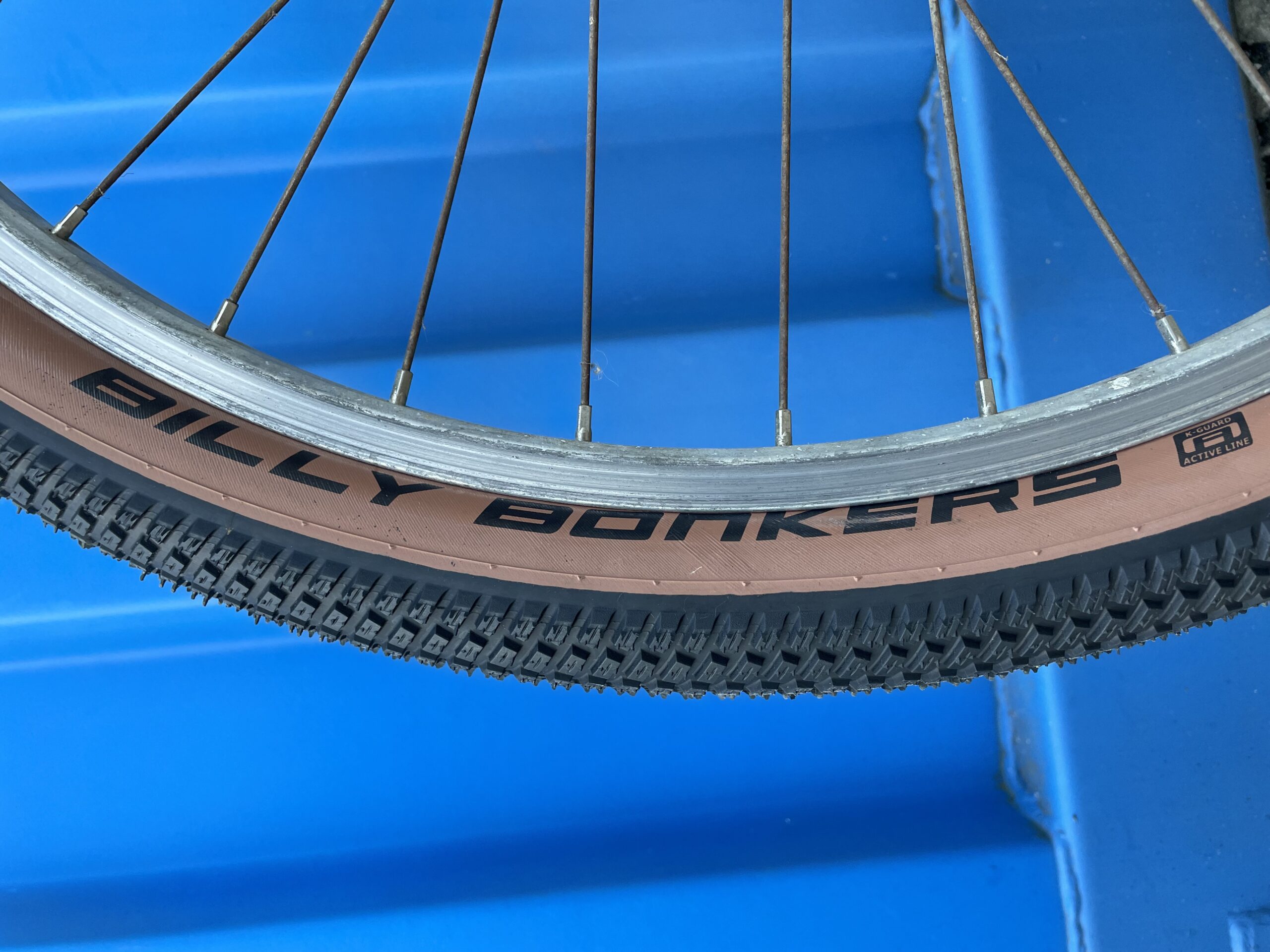 schwalbe billy bonkers tyre