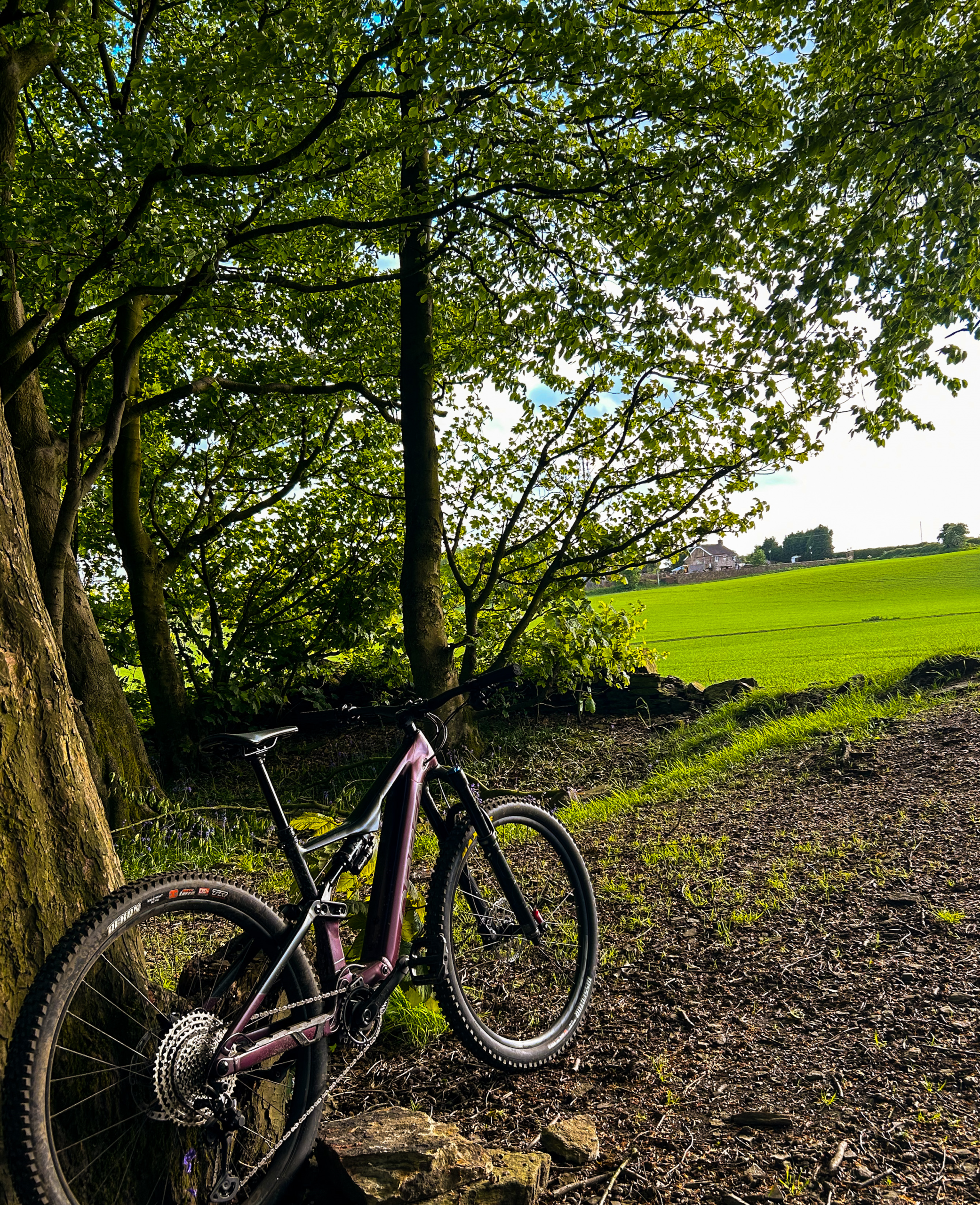 Orbea Rise H15 Mulberry Black – Medium – 2022 – Only 90 miles!`