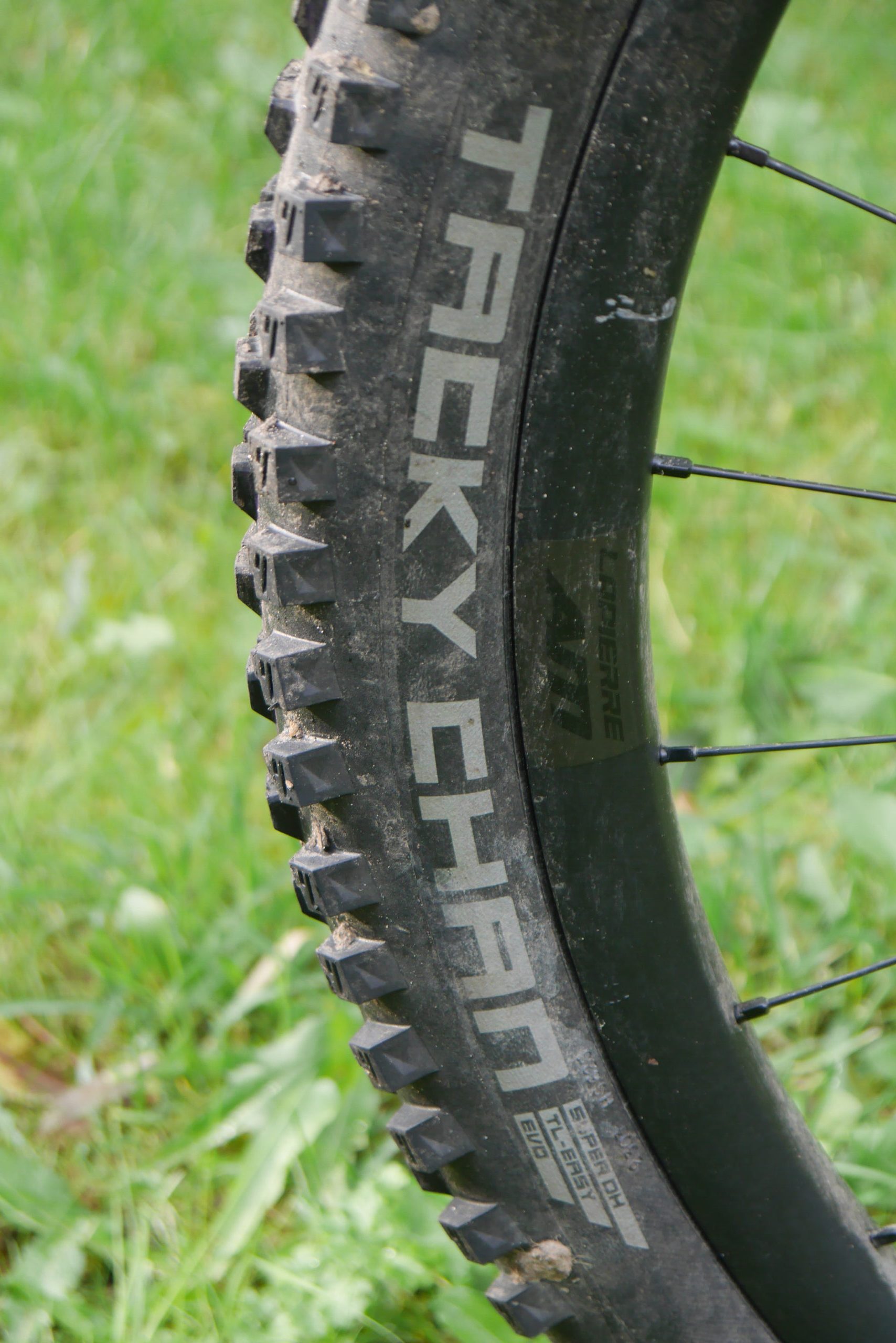 Schwalbe Tacky Chan review