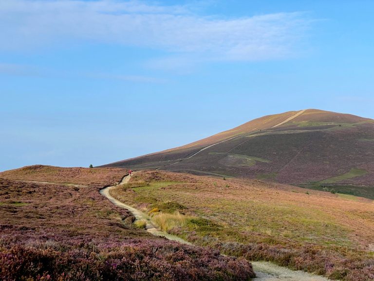 Singletrack Issue 151: Ydyn ni bron yna?