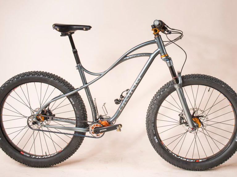 Bespoked Bike Check: Bididu Ragnarök