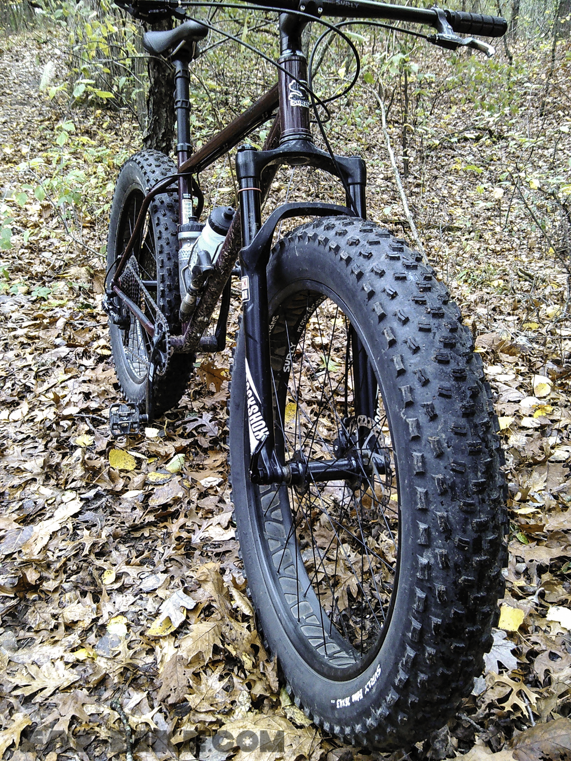 WTD surly BUD, EDNA, NATE/s