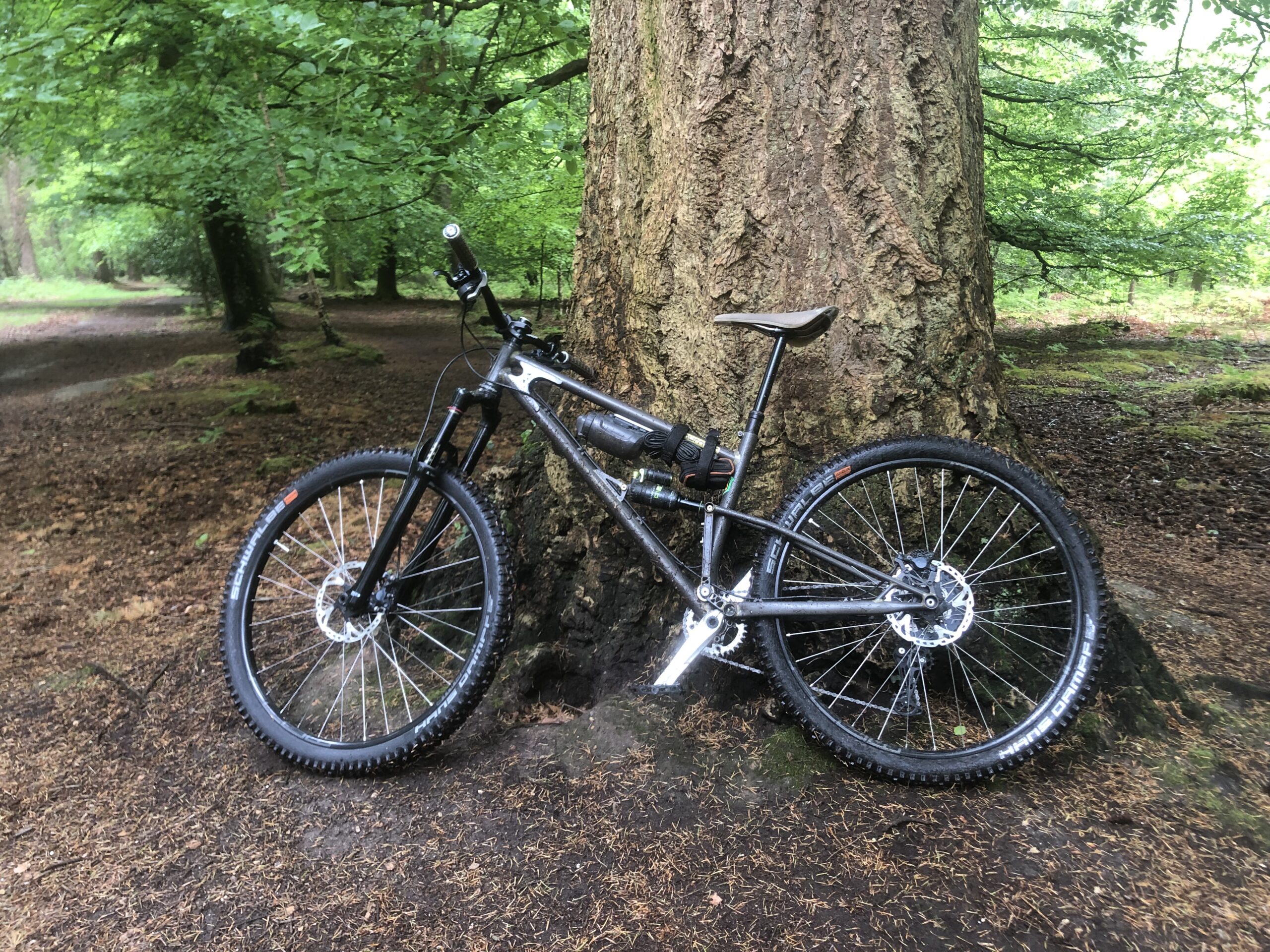 Starling Murmur M/L frame