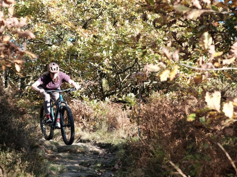 Calibre T3 Hardtails: High stoke, low budget