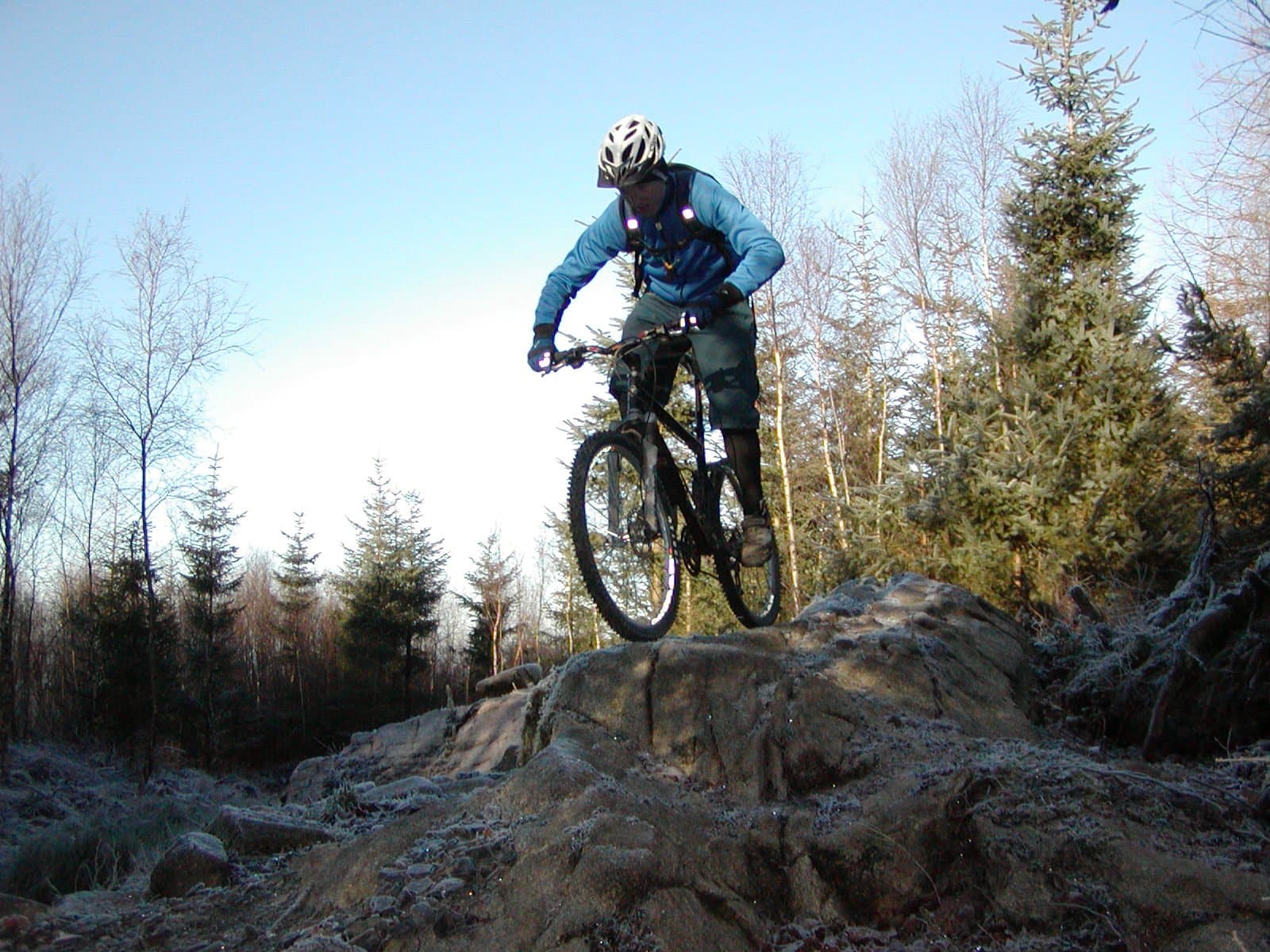 Dalbeattie To Be Affected By Felling In February and March