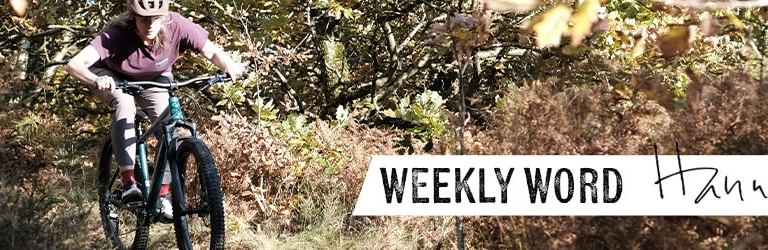 Singletrack’s Newsletter Subscription Drive