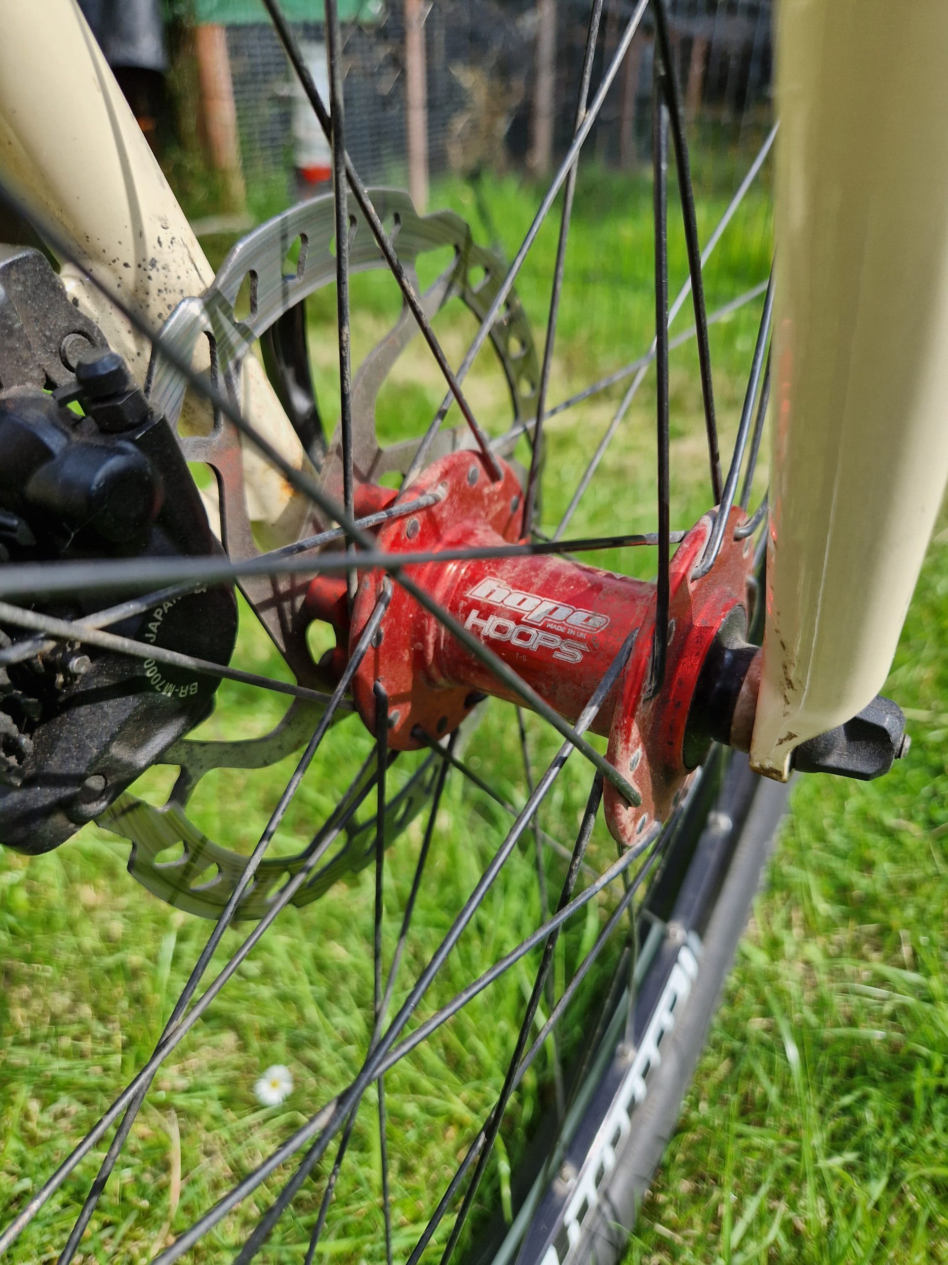 Singular Swift XL mk4 – for sale