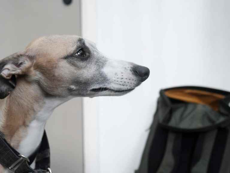 Fresh Goods Friday 692 – The Al Fresco Edition