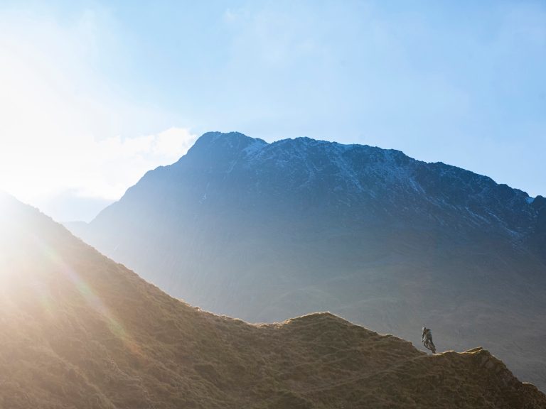 Issue 154 Last Word: Schrödinger’s Stans Monsters