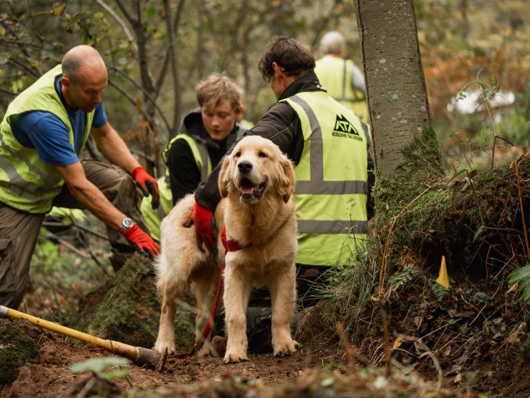 Last Chance To Respond! UK Trails Project Survey: Shape your riding future here