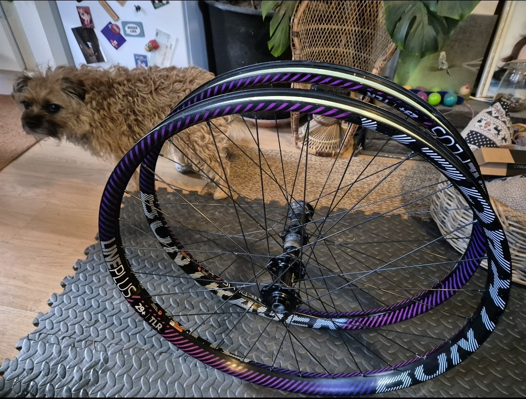 Bontrager line plus wheelset 29+ XD price dropped