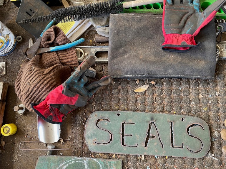 Bob Seals: Devil, do-gooder or daydreamer?