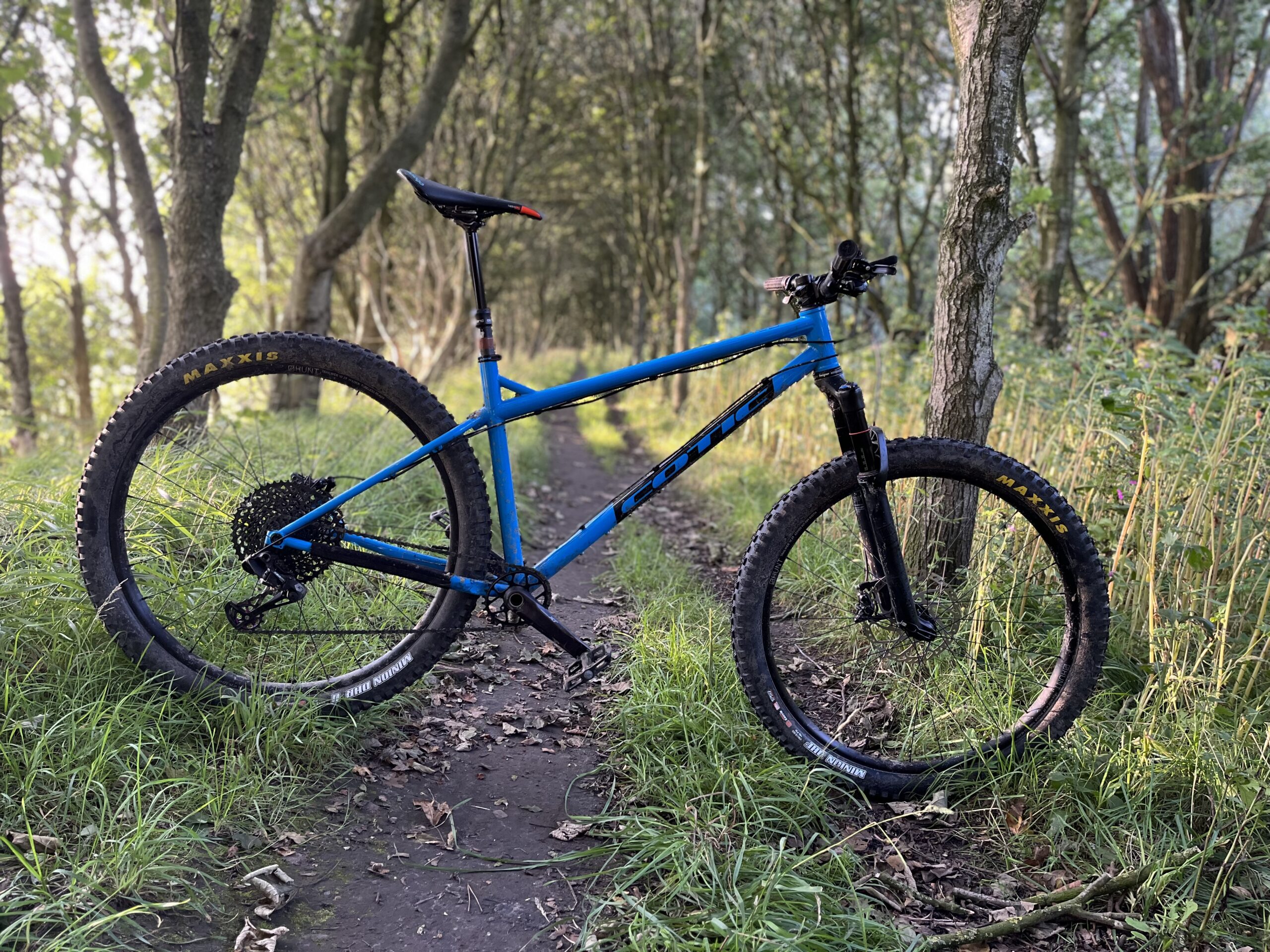 2x Maxxis DHR / DHF 29”