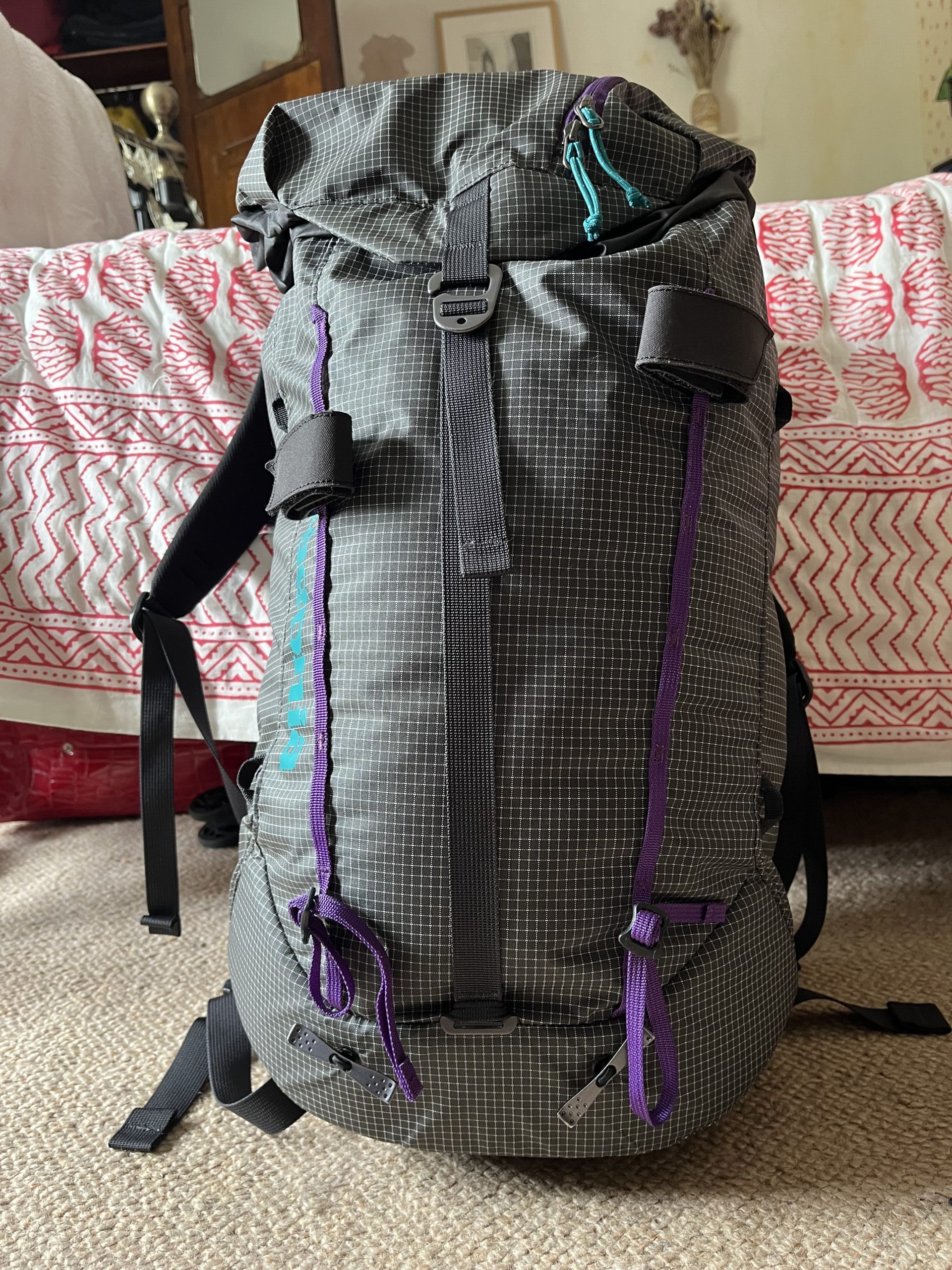 Patagonia Ascensionist 30L rucsack