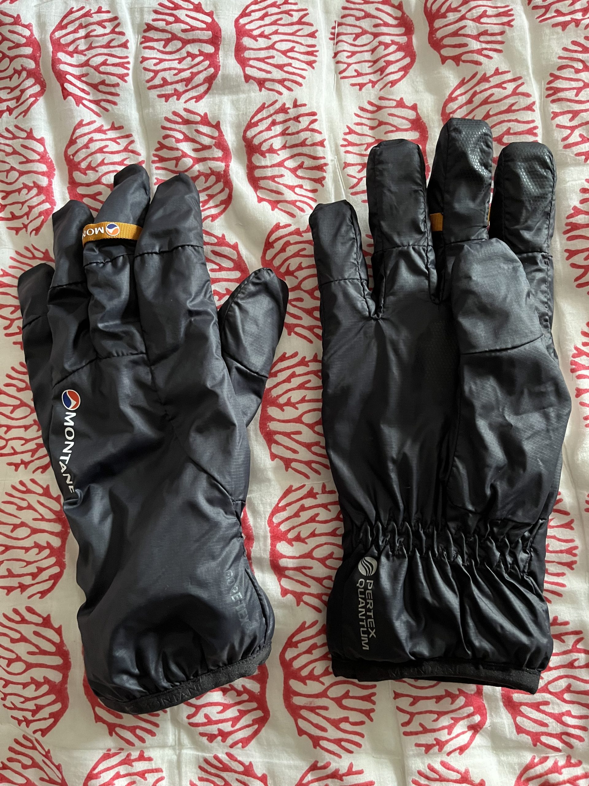 Montane Vortex gloves.