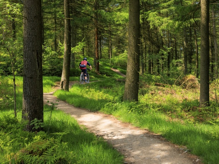 MB Wales recruiting Steering Group positions to develop MTB