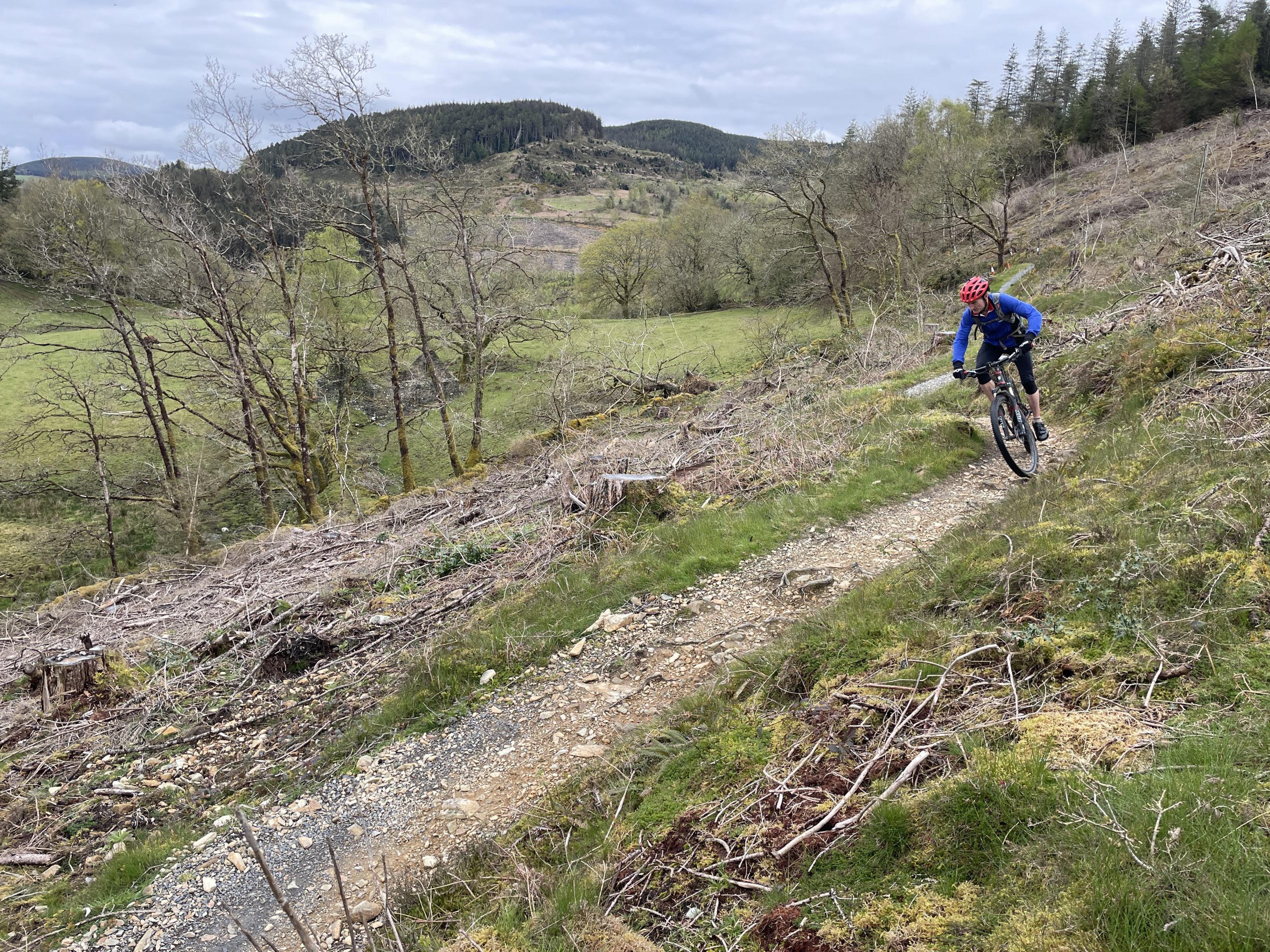 Is NRW About To Close Coed Y Brenin?