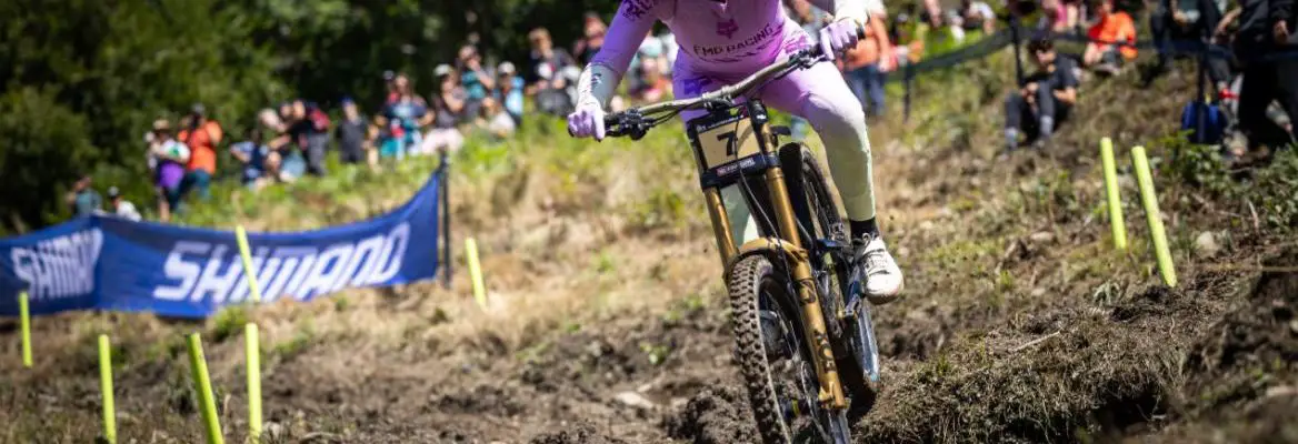 Downhill mtb results online