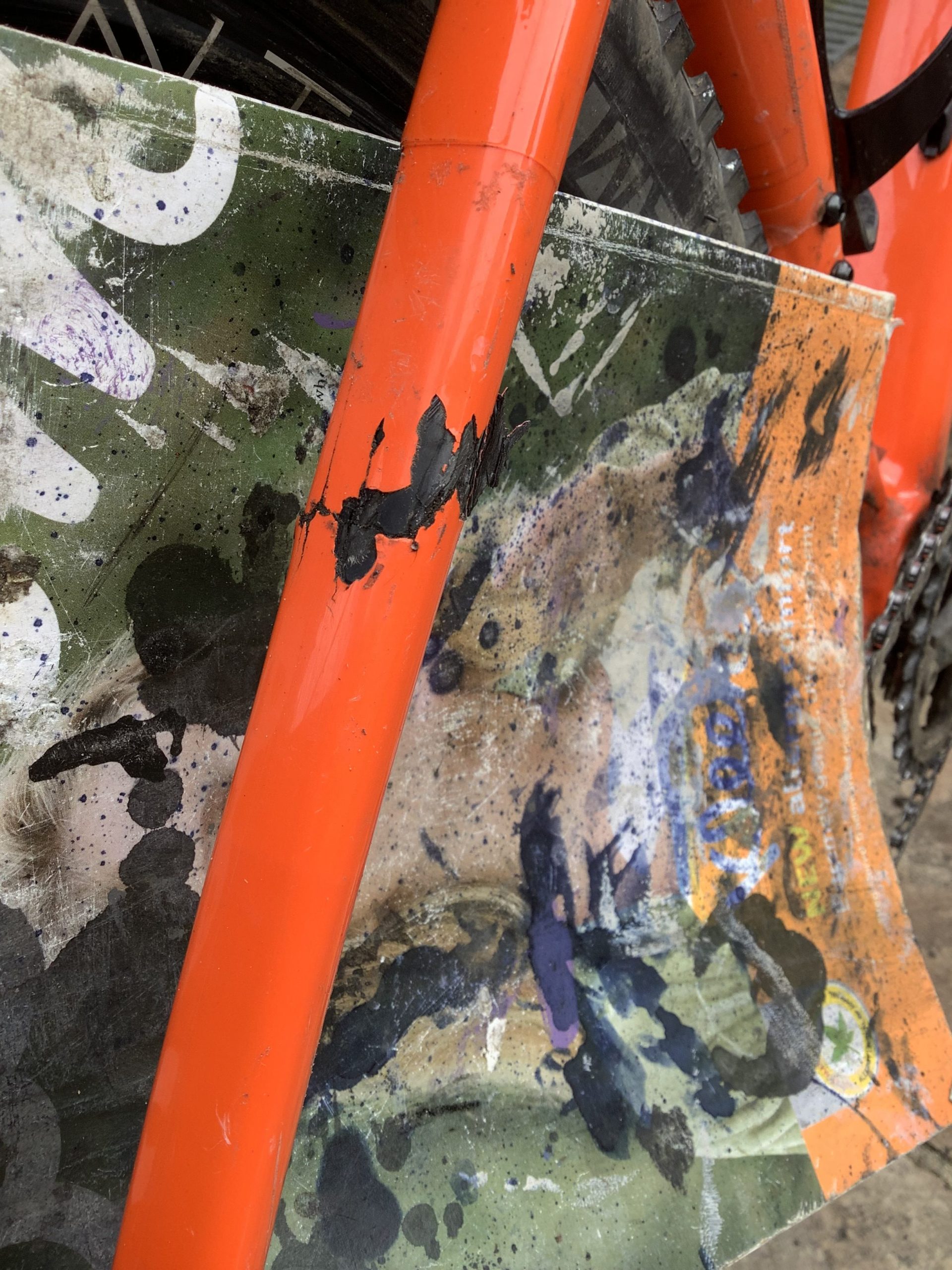 Broken Whippet. frame