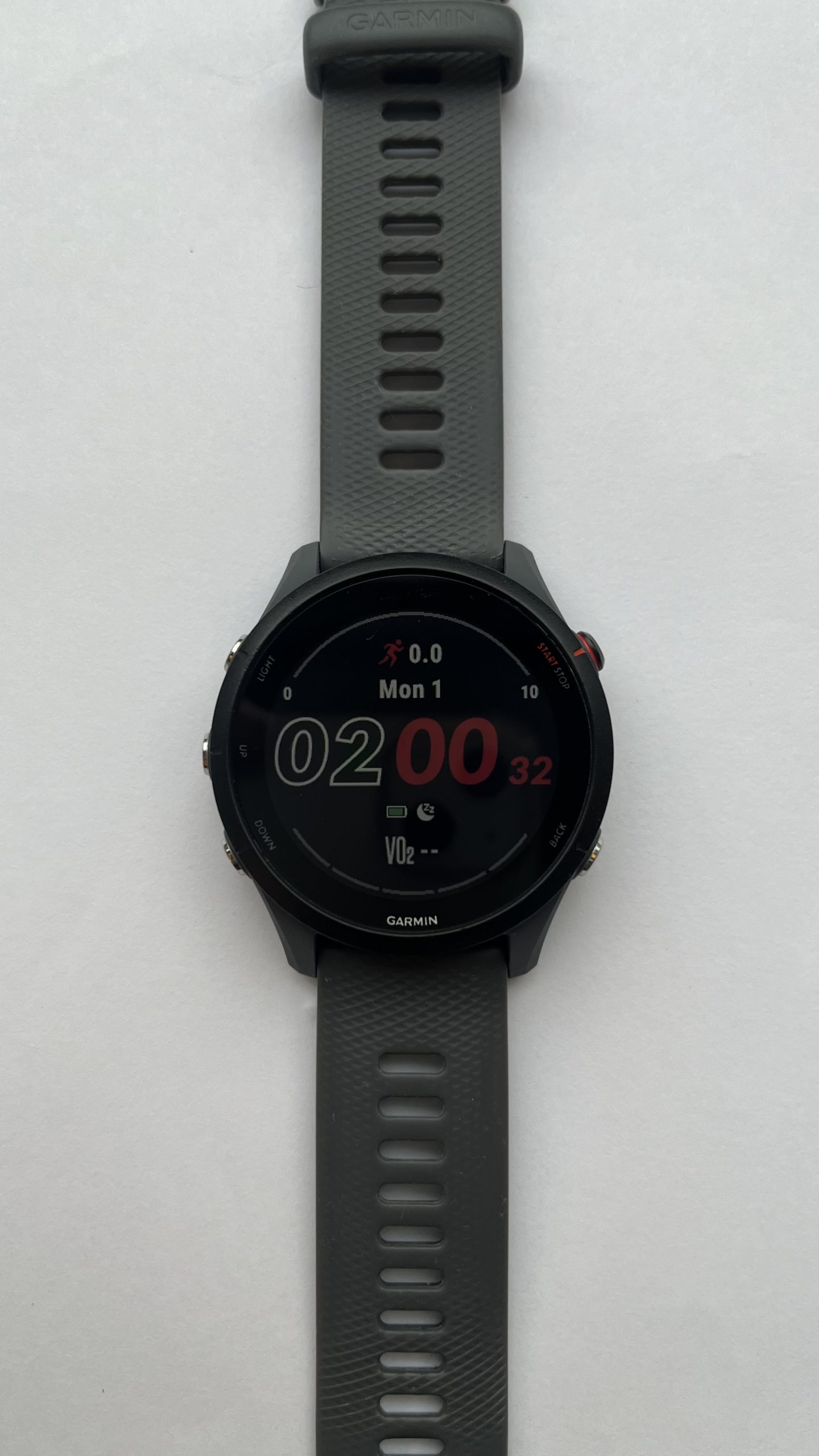 Garmin Forerunner 255
