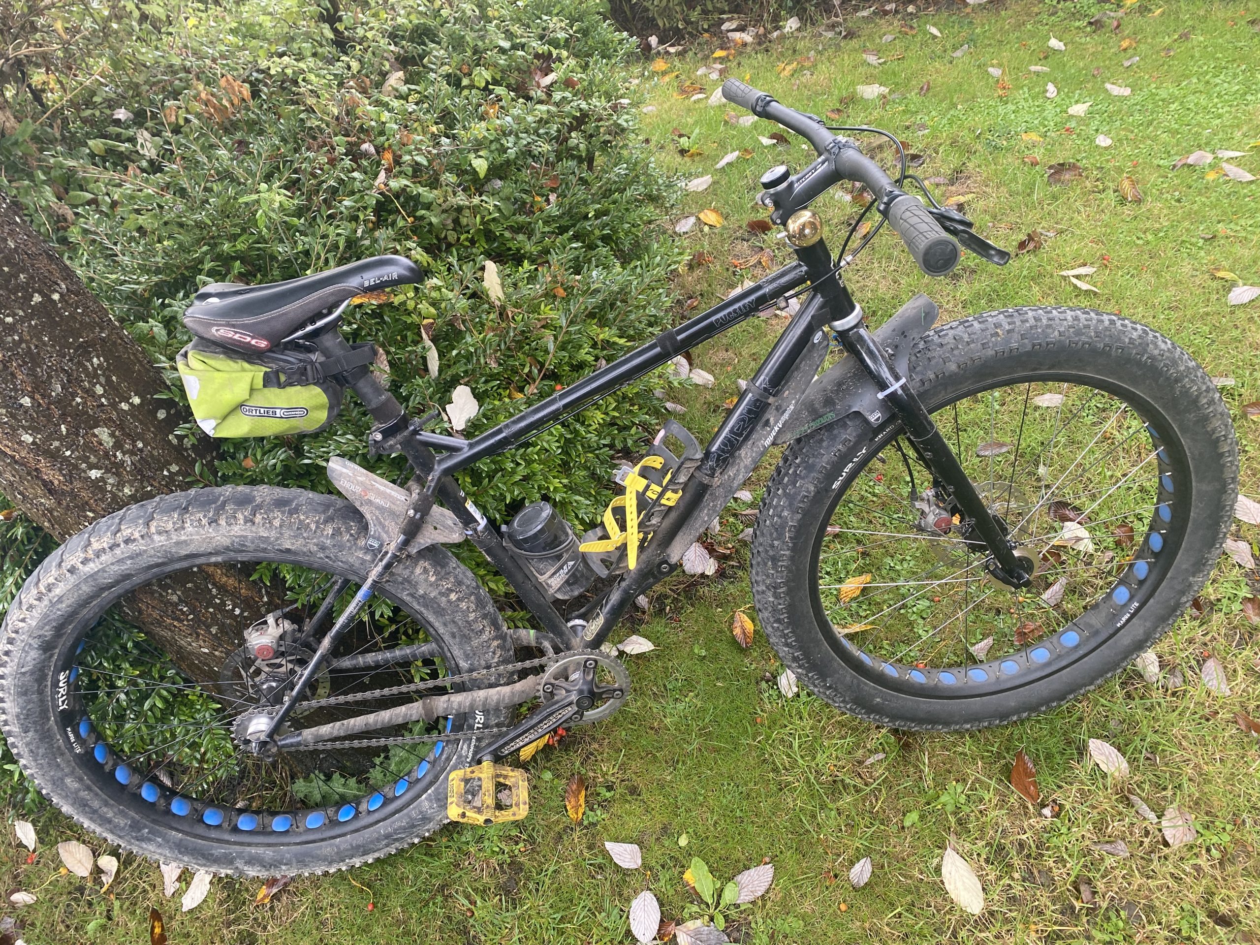 Surly Pugsley + fat bike stuff