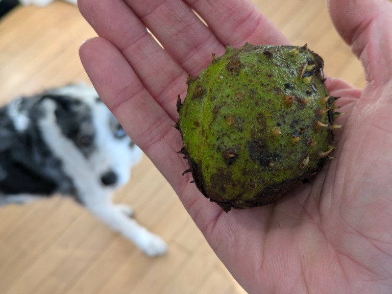 Fresh Goods Friday 722: The Autumn’s Done Come Edition