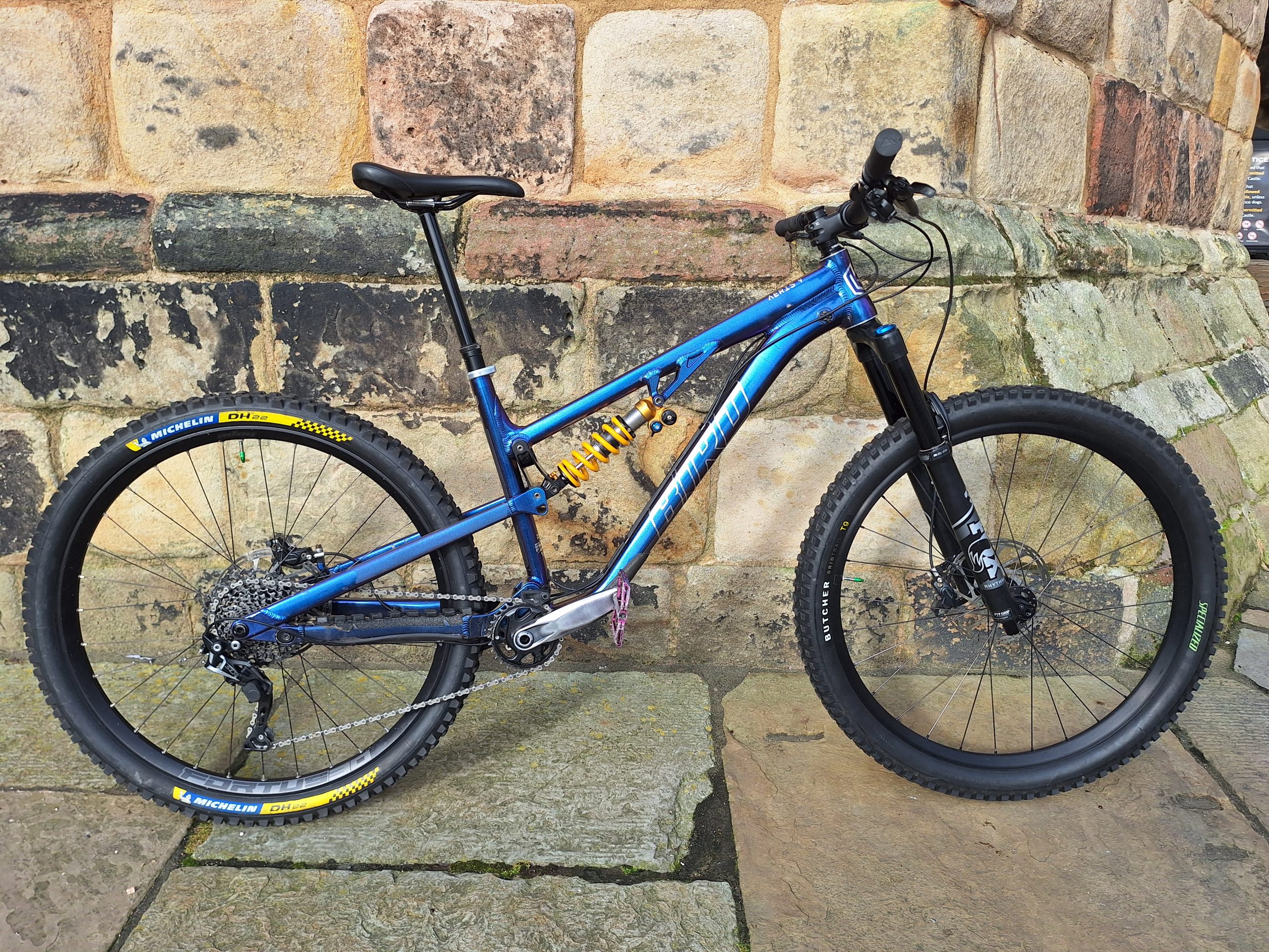 Bird Aeris 9 large Blurple Ohlins Hope