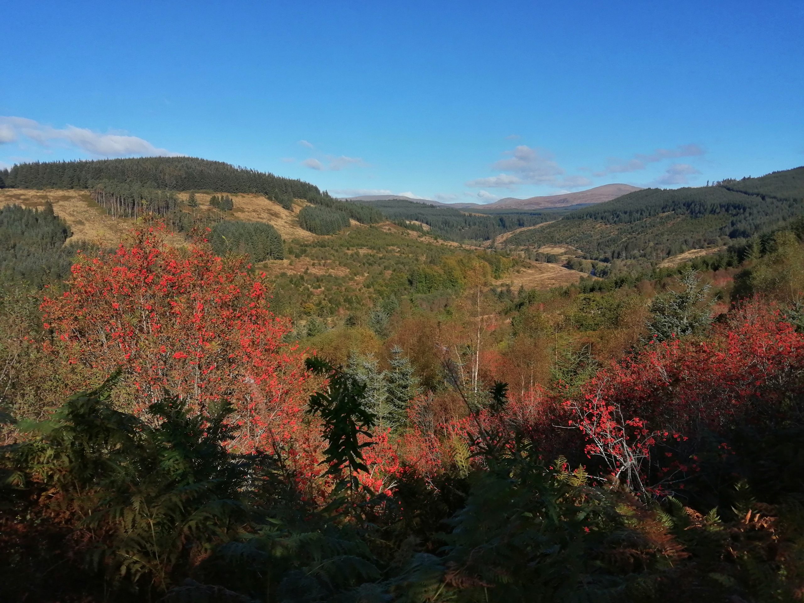 31.6 180mm to 210mm dropper post