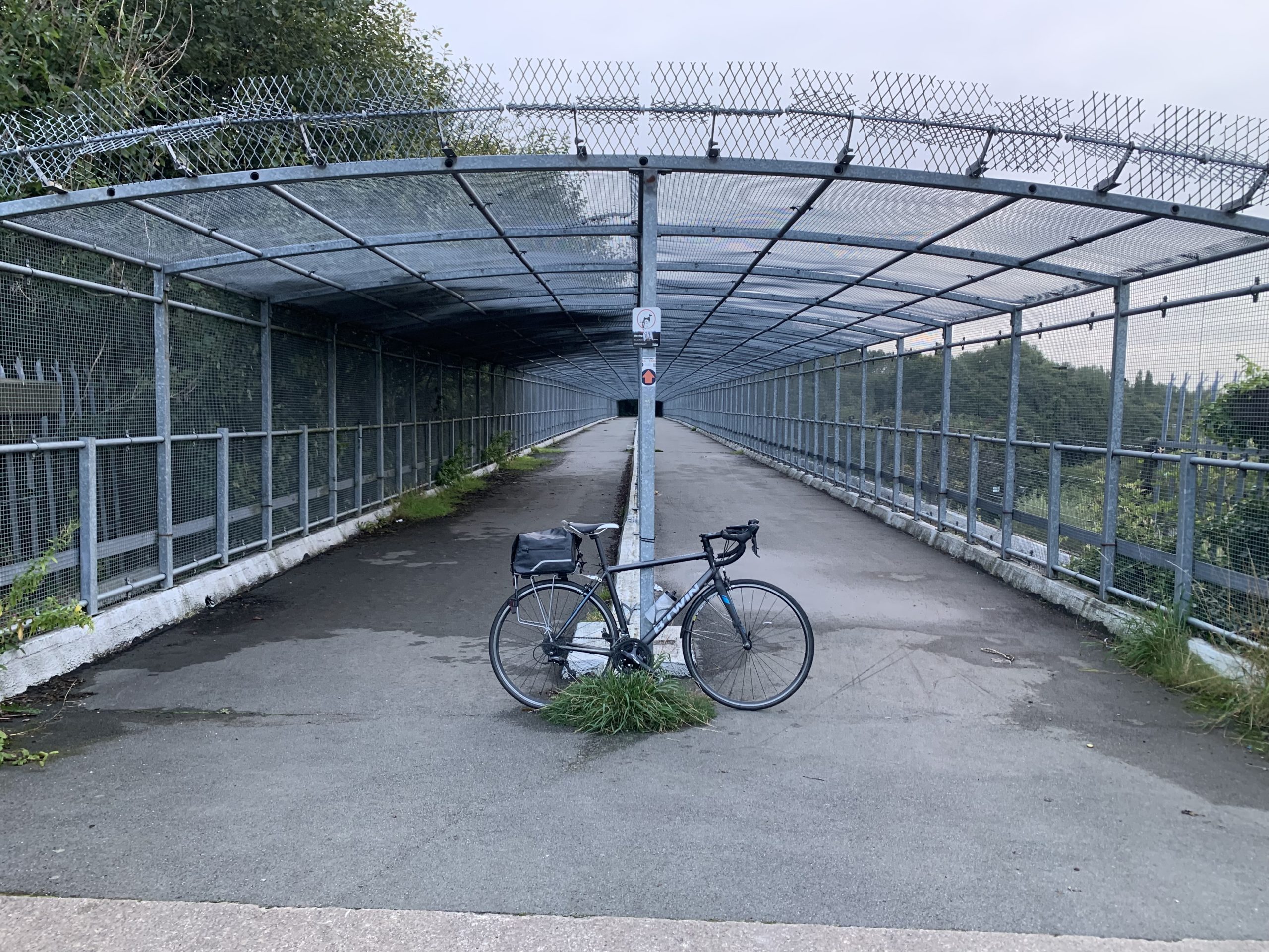 Wanted: 9/10 speed 700c Shimano wheel (s)