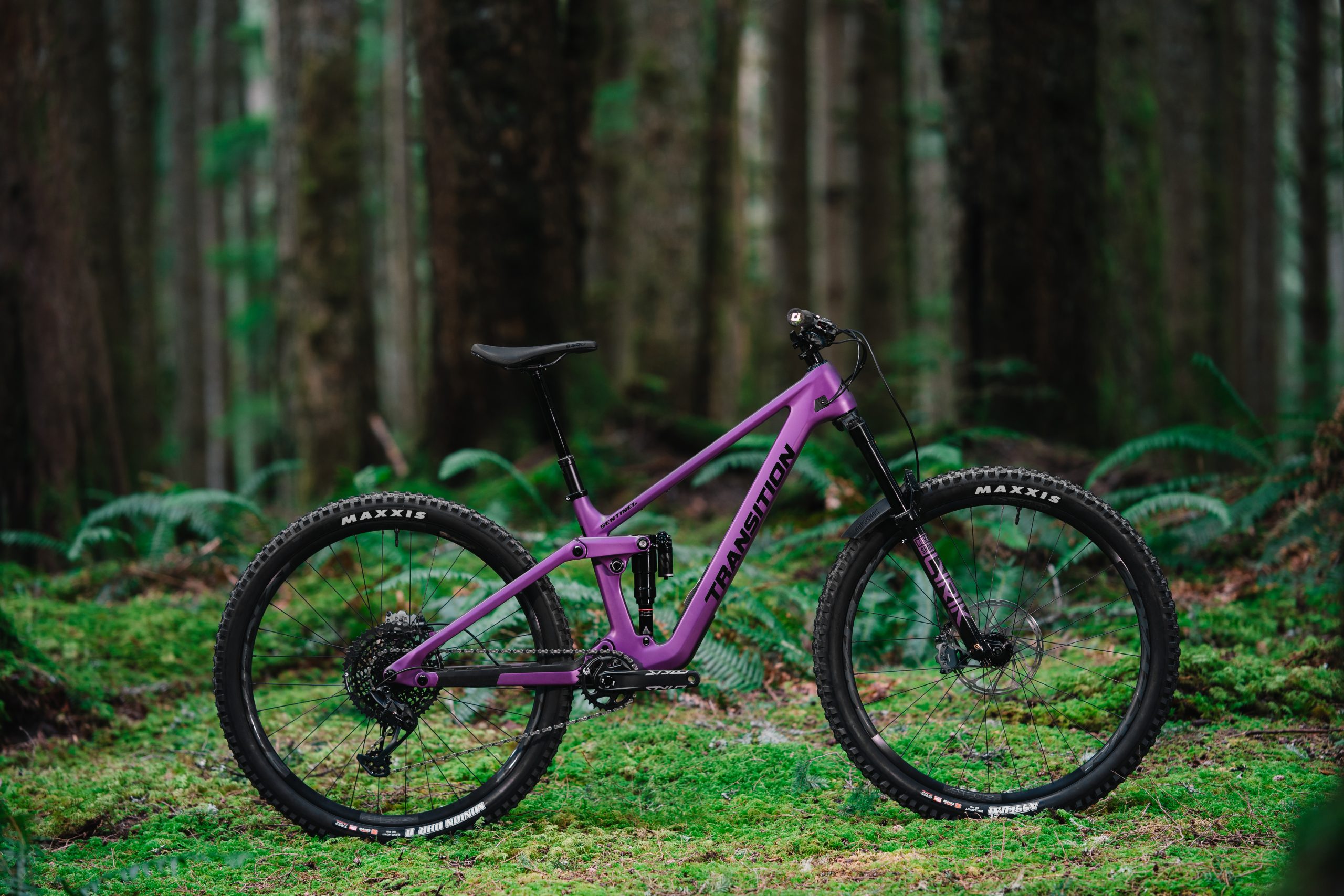 Transition Sentinel 2025: First Ride Review+