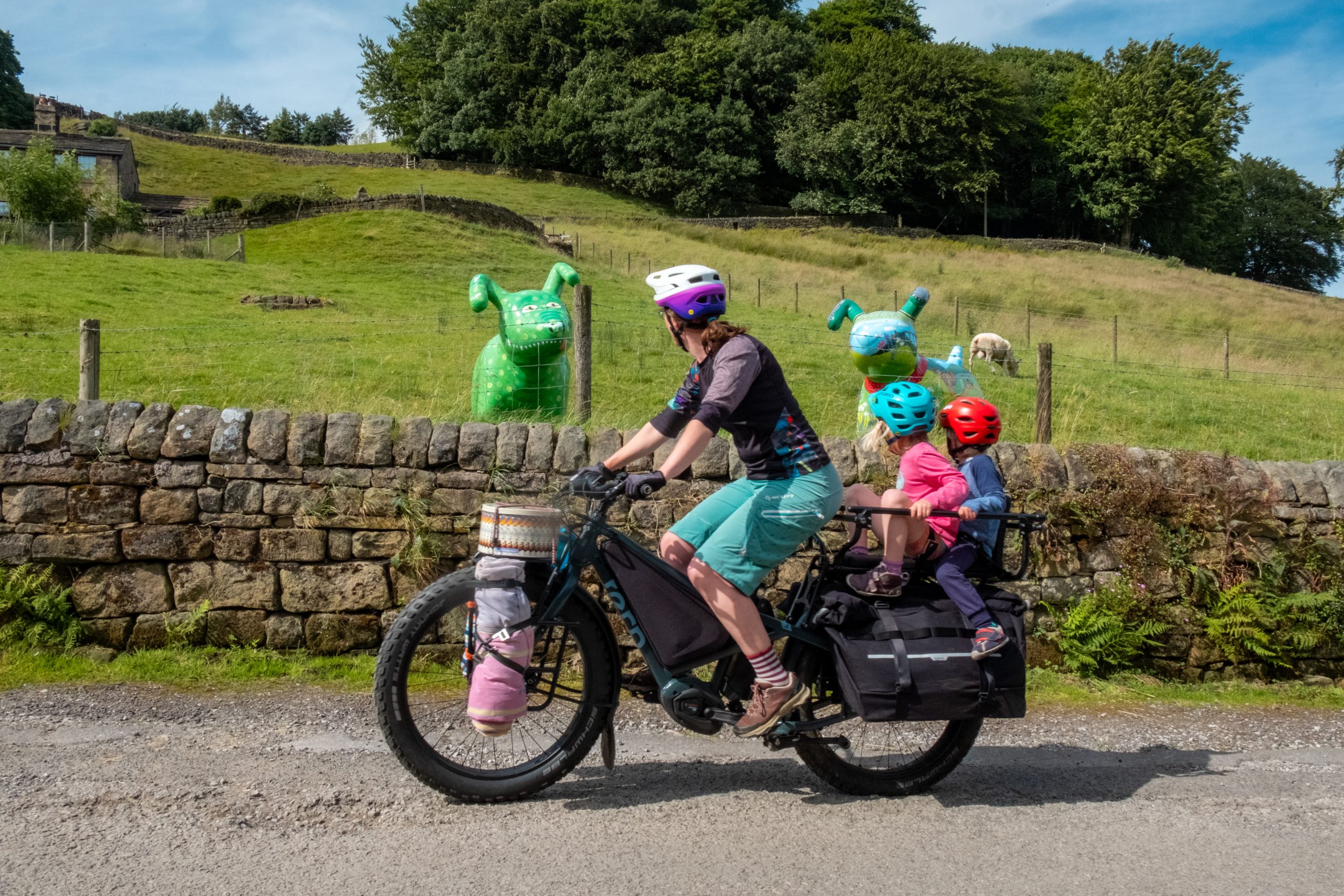 Thinking of getting an E-Cargo Bike? Read this