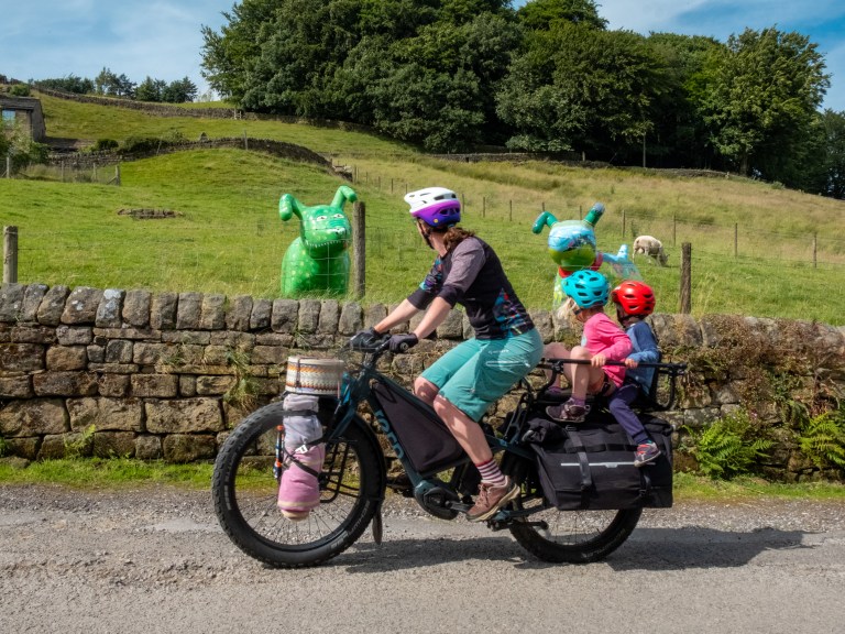 Thinking of getting an E-Cargo Bike? Read this